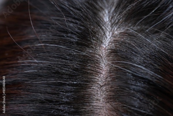 Obraz 髪　女性　クローズアップ