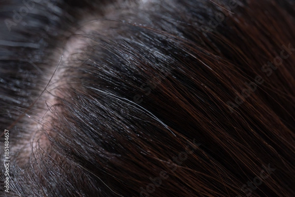 Obraz 髪　女性　クローズアップ