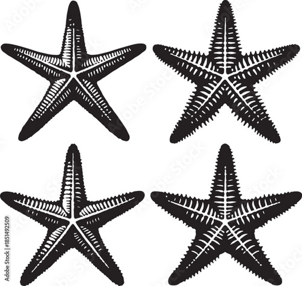 Obraz Star fish text icon silhouette vector with white background