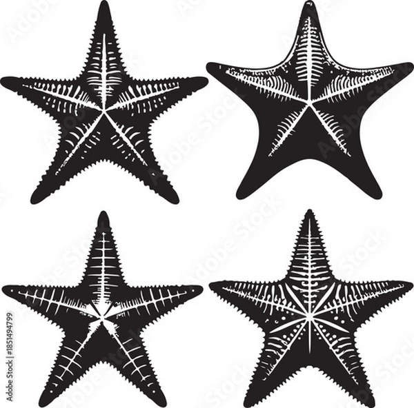 Obraz Star fish text icon silhouette vector with white background