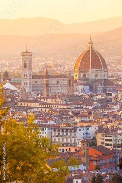 Fototapeta View of Florence from above, Cathedral Santa Maria del Fiore (Duomo)
