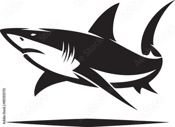 Obraz shark vector illustration