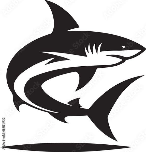 Obraz black shark vector illustration