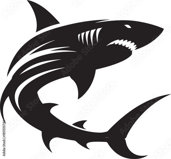 Obraz shark vector illustration