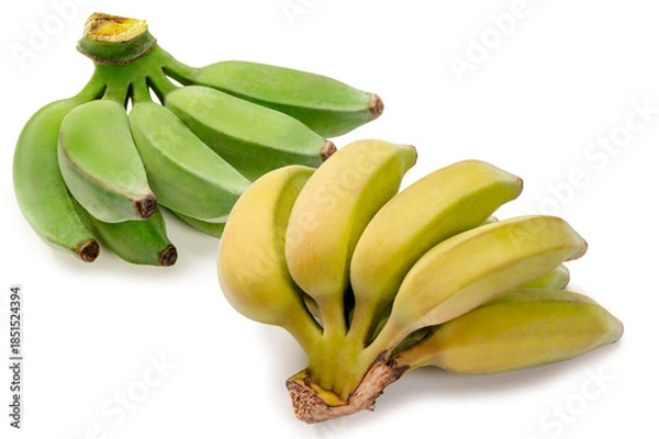 Obraz 完熟と未完熟の島バナナ、沖縄の特産品