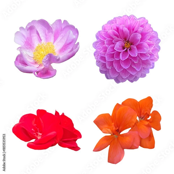 Obraz Mixed Color Flower Cutout Set