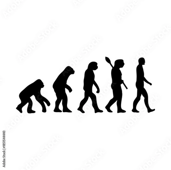 Obraz Human Evolution Silhouette From Ape to Modern Man