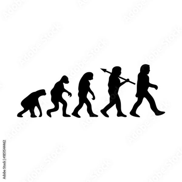 Obraz Human Evolution Silhouette From Ape to Modern Man