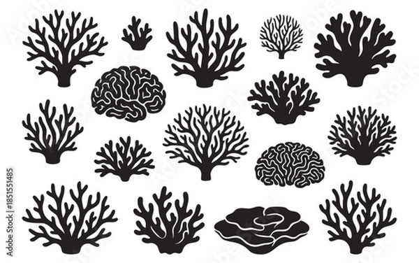 Obraz Sea Coral Reef Silhouettes