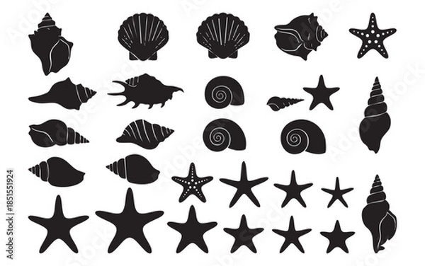 Obraz Seashell and Starfish Silhouettes