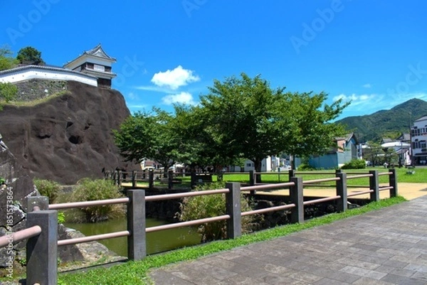 Obraz 大分県 臼杵城跡