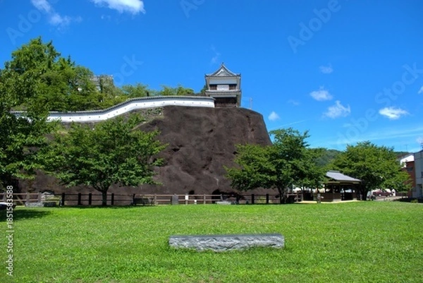 Obraz 大分県 臼杵城跡