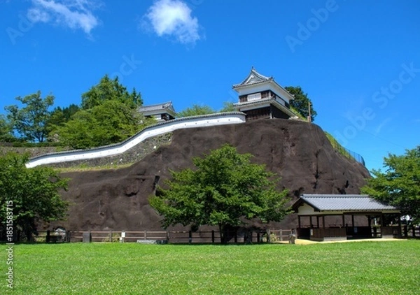 Obraz 大分県 臼杵城跡