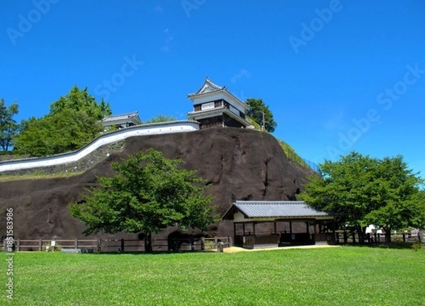 Obraz 大分県 臼杵城跡