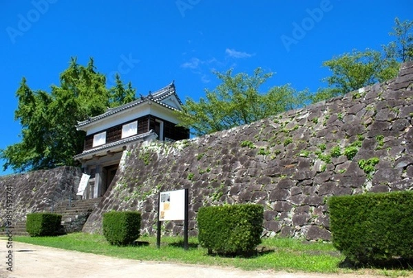 Obraz 大分県 臼杵城跡