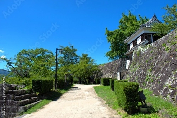 Obraz 大分県 臼杵城跡