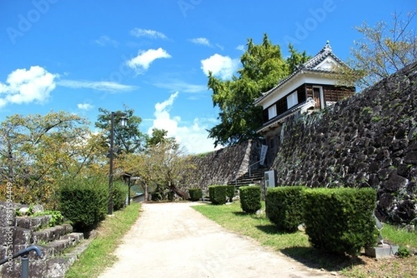 Obraz 大分県 臼杵城跡