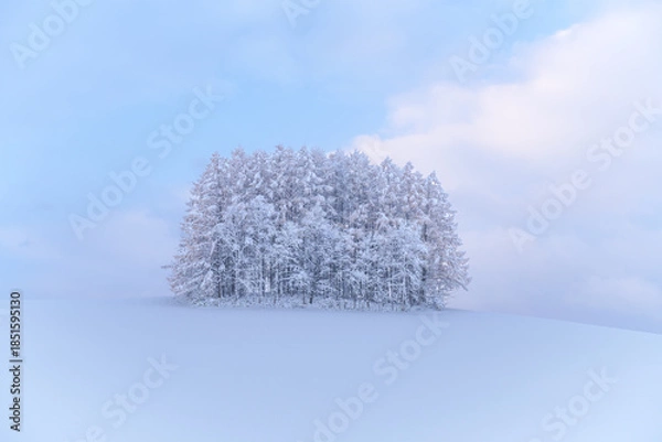 Obraz マイルドセブン