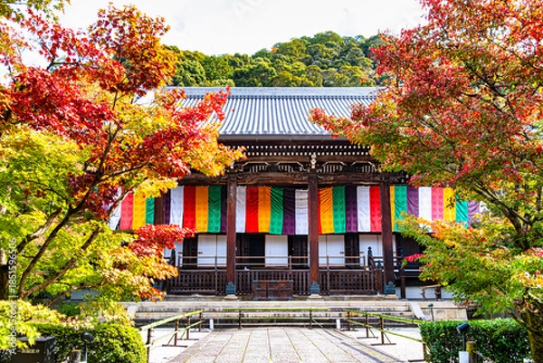 Obraz 京都、永観堂の秋