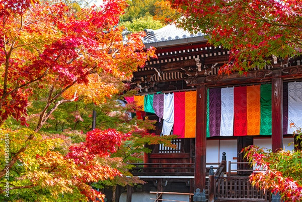 Fototapeta 京都、永観堂の紅葉