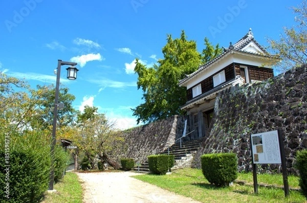 Obraz 大分県 臼杵城跡