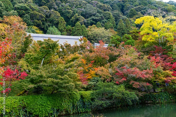 Obraz 京都、永観堂の秋