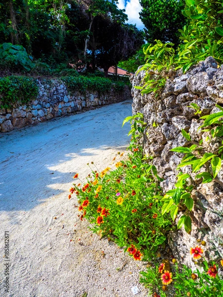 Obraz 竹富島の町並み（沖縄県竹富町）