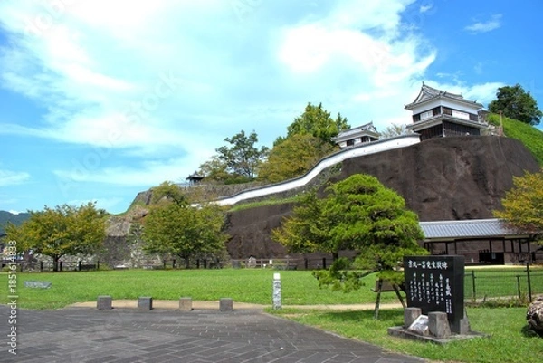 Obraz 大分県 臼杵城跡