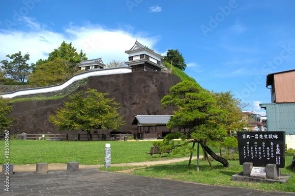 Obraz 大分県 臼杵城跡
