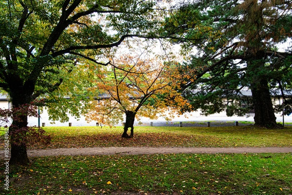 Obraz 京都御苑の秋