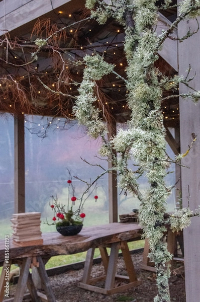 Obraz winter in the garden