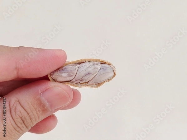 Fototapeta Hand picking up peanuts against a white background.