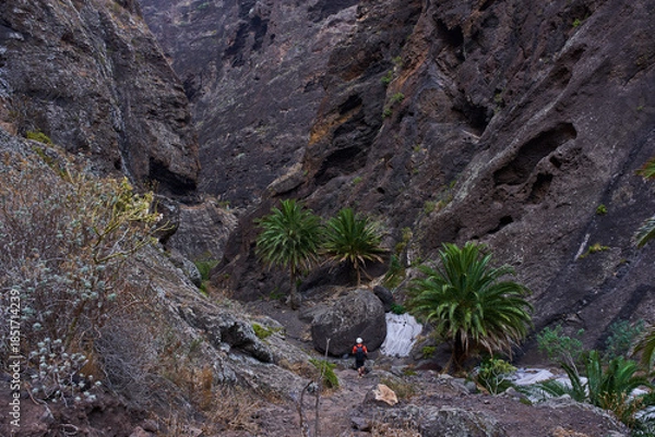 Obraz Steep cliffs of Masca gorge
