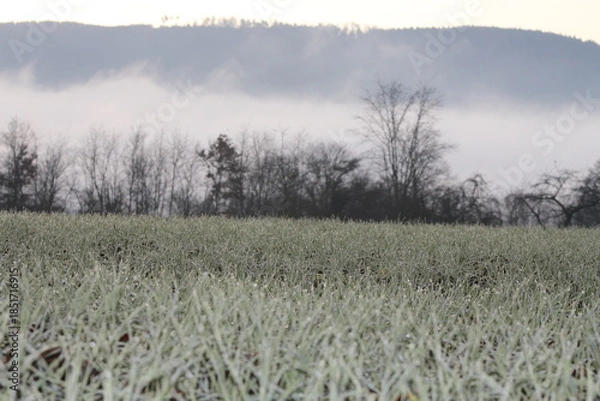 Obraz Acker im Winter