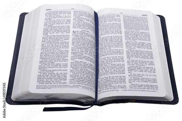 Obraz Open Bible
