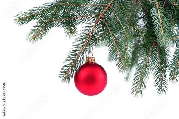 Obraz christmas ornament hanging on a tree