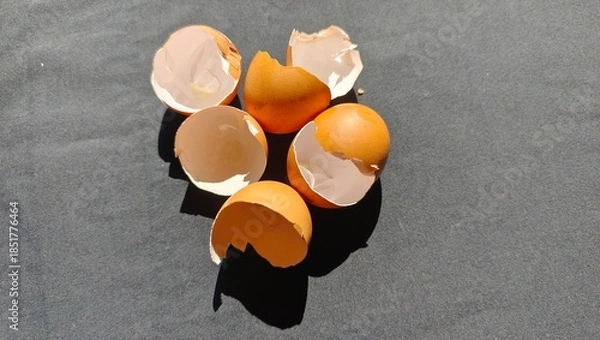 Obraz broken egg shell