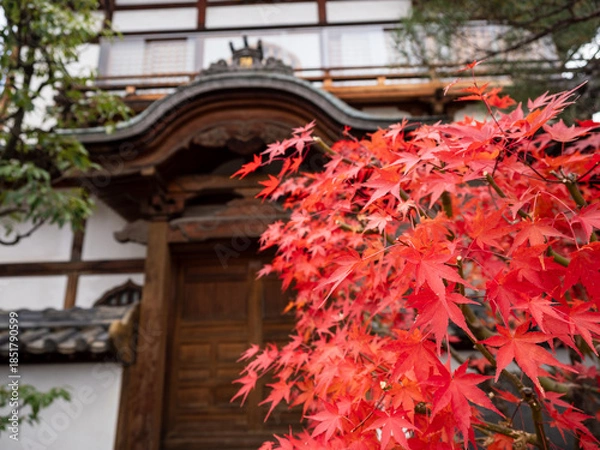 Obraz 善光寺　長野市