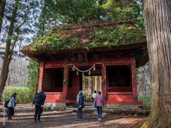Obraz 戸隠　山中風景