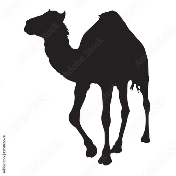 Obraz Black Camel Silhouette Set