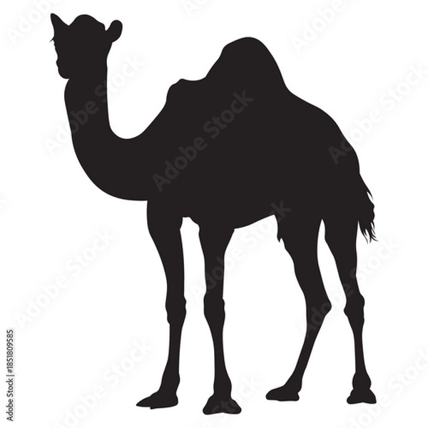 Obraz Black Camel Silhouette Set