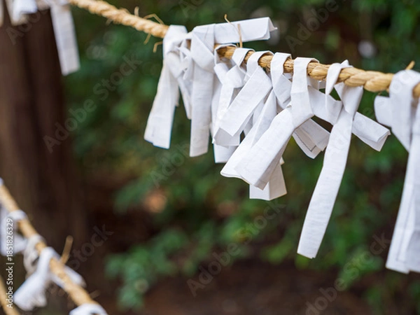 Obraz 神社で願いを込めて結ばれたおみくじ