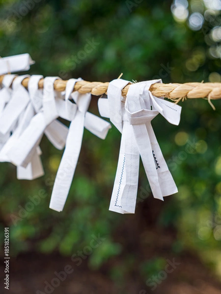 Obraz 神社で願いを込めて結ばれたおみくじ