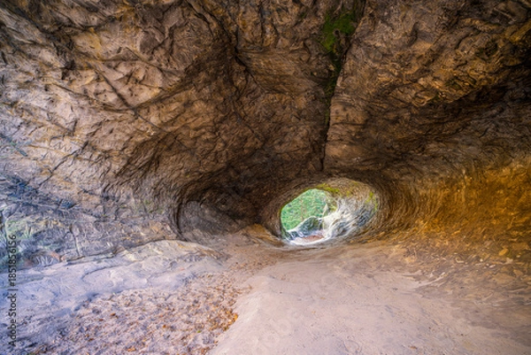 Obraz Hamburger Wappen - Harz