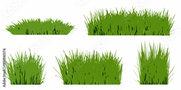 Obraz Collection of vibrant green grass patches isolated on a white background