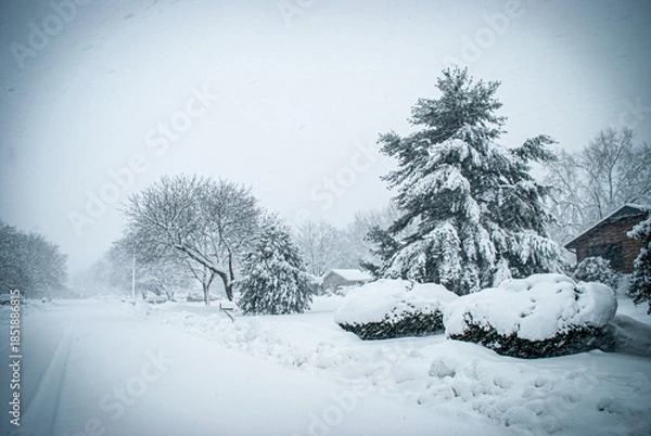 Obraz Neighborhood Snow