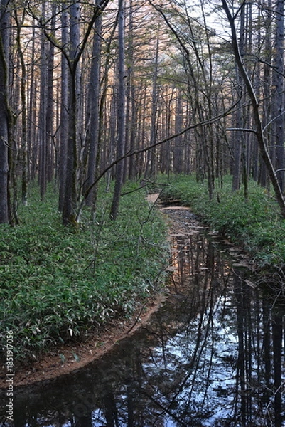 Obraz 秋の上高地