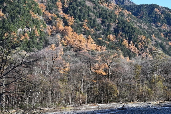 Obraz 秋の上高地