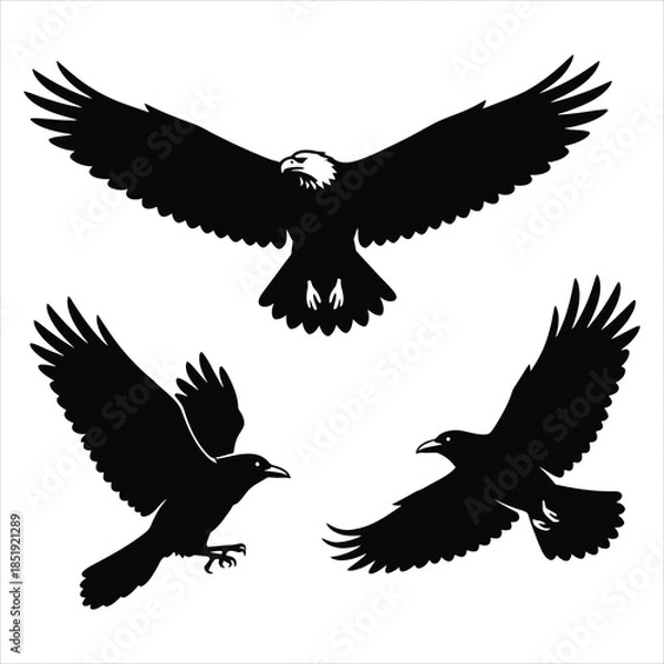 Obraz Majestic flying bird silhouettes featuring eagle and hawk in flight.