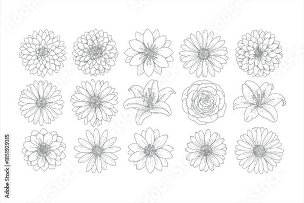 Obraz Line drawing flower collection